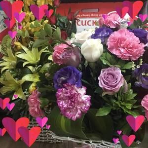 Meet your Posher, Hien